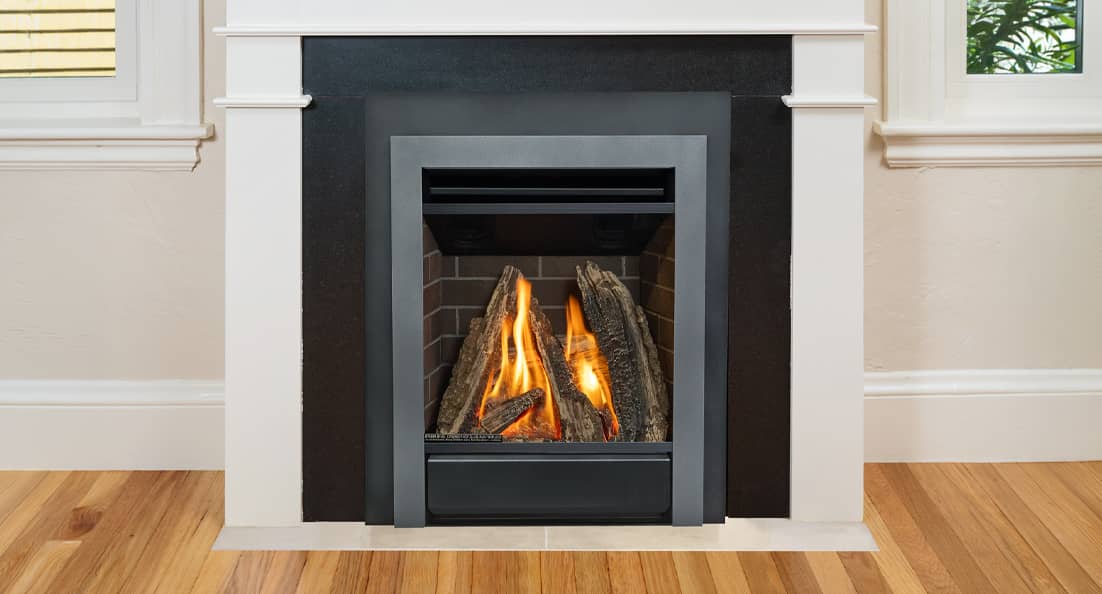 Valor Portrait Gas Insert